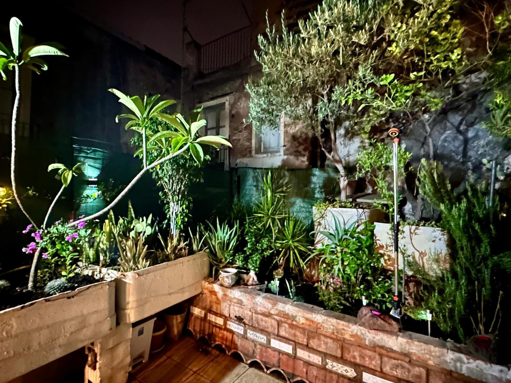 Casa Vulcano Catânia Exterior foto